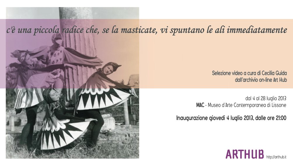 Agustin Sanchez, Art Hub al MAC di Lissone , 2013